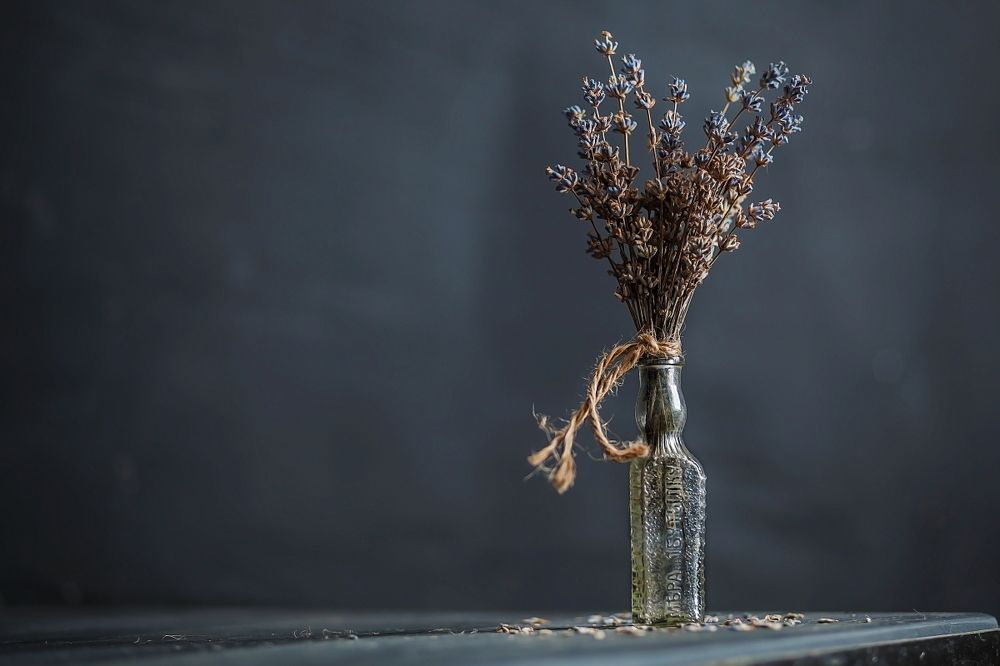 Photograph by Дмитрий Сундеев