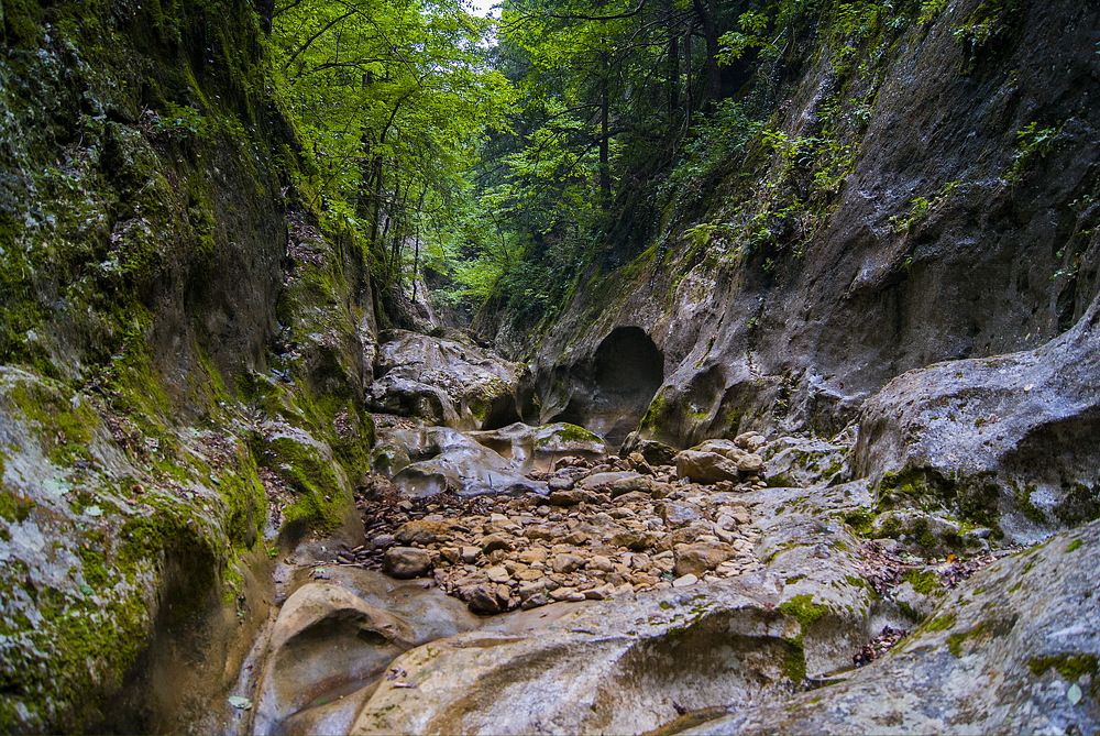 Photograph by Екатерина Бахтинова