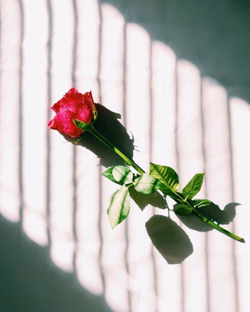 Photograph by Оксана Сабылина