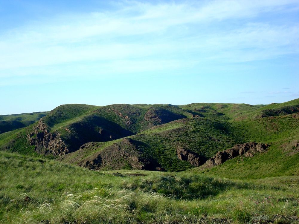 Photograph by Ольга Мокрова