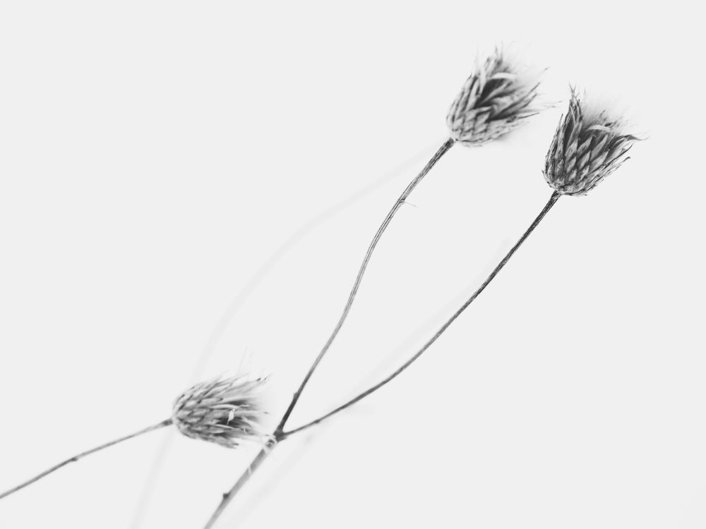 Фотография автора Иван Вдовин