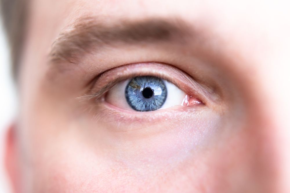 Photograph by Ирина Постыль