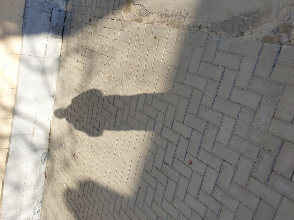 Photograph by Сергей Борисов