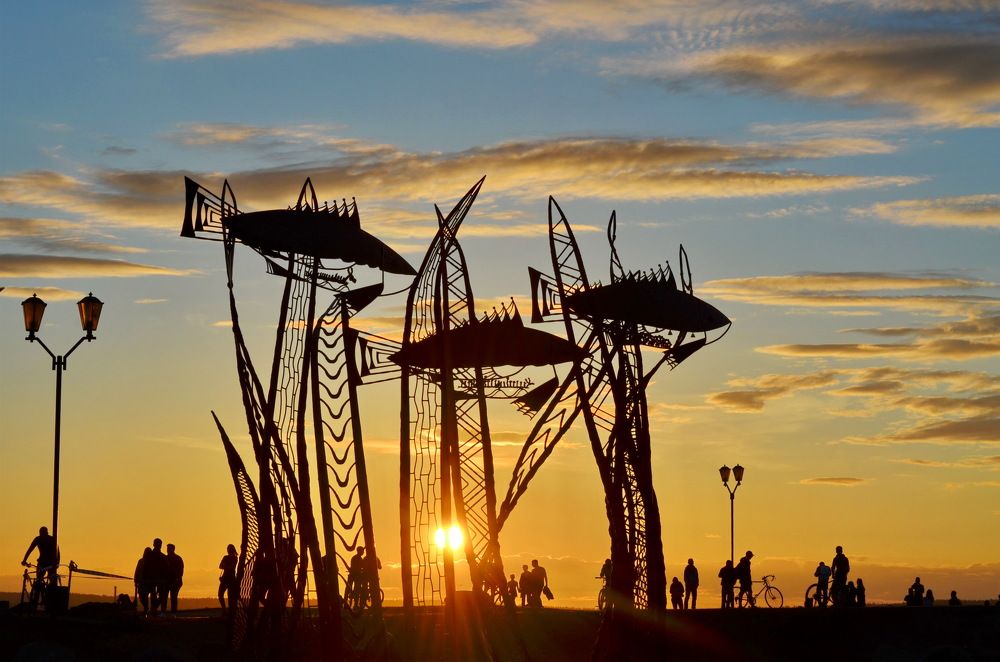 Photograph by Светлана Дисяк