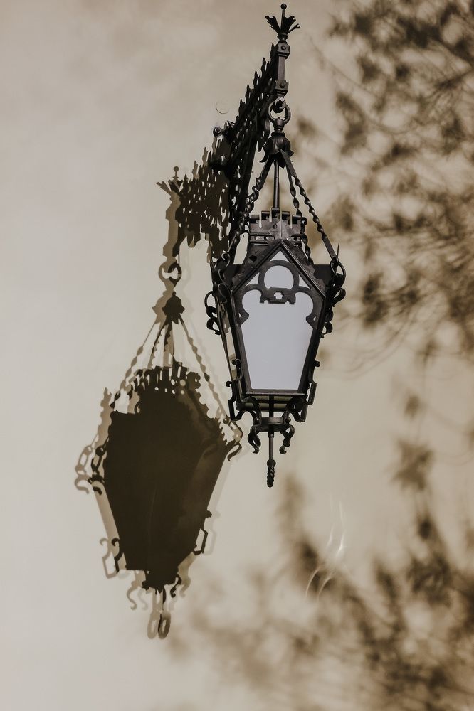 Photograph by Алёна Дьяченко