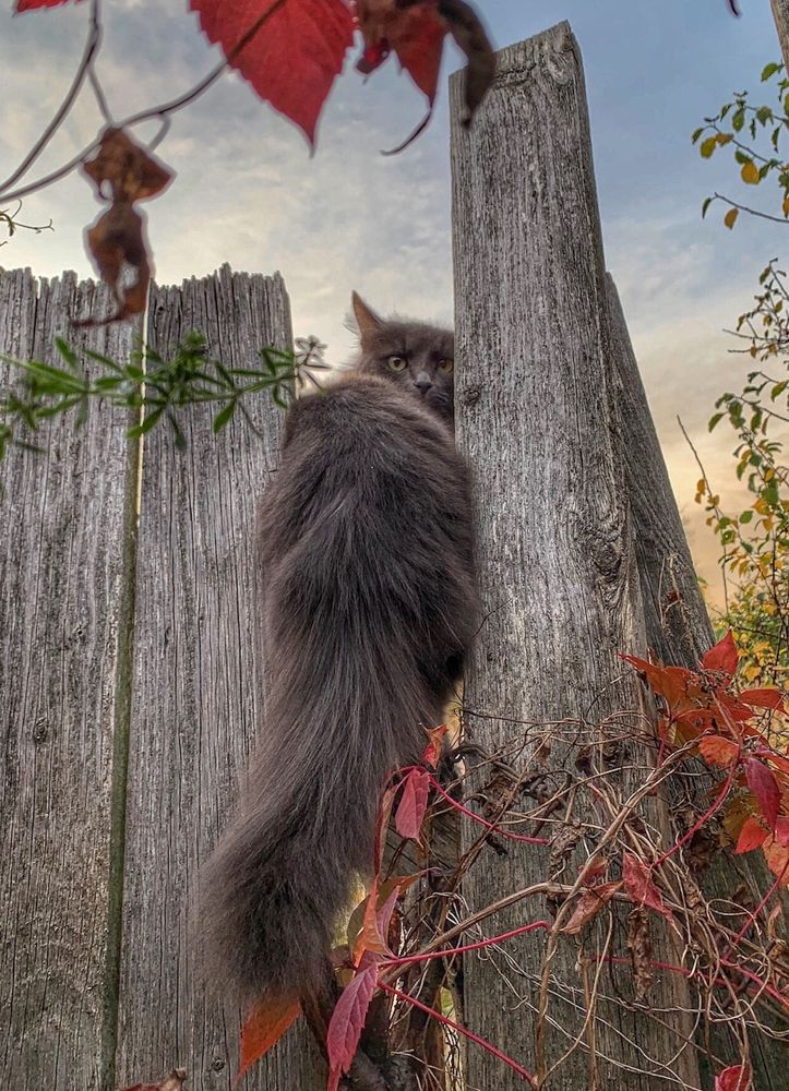 Photograph by Светлана Медведева