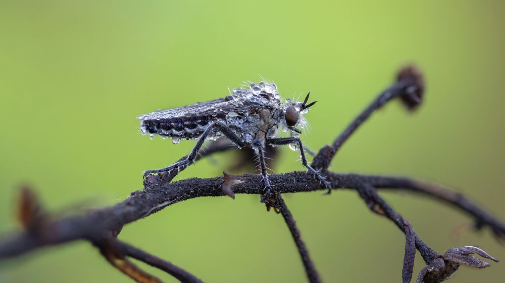 Photograph by Andrey Ostapenko