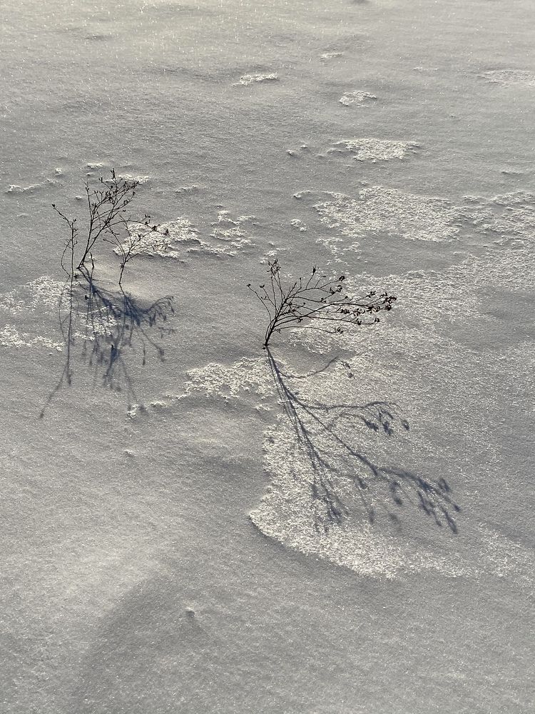 Photograph by Лазарева Анна Игоревна