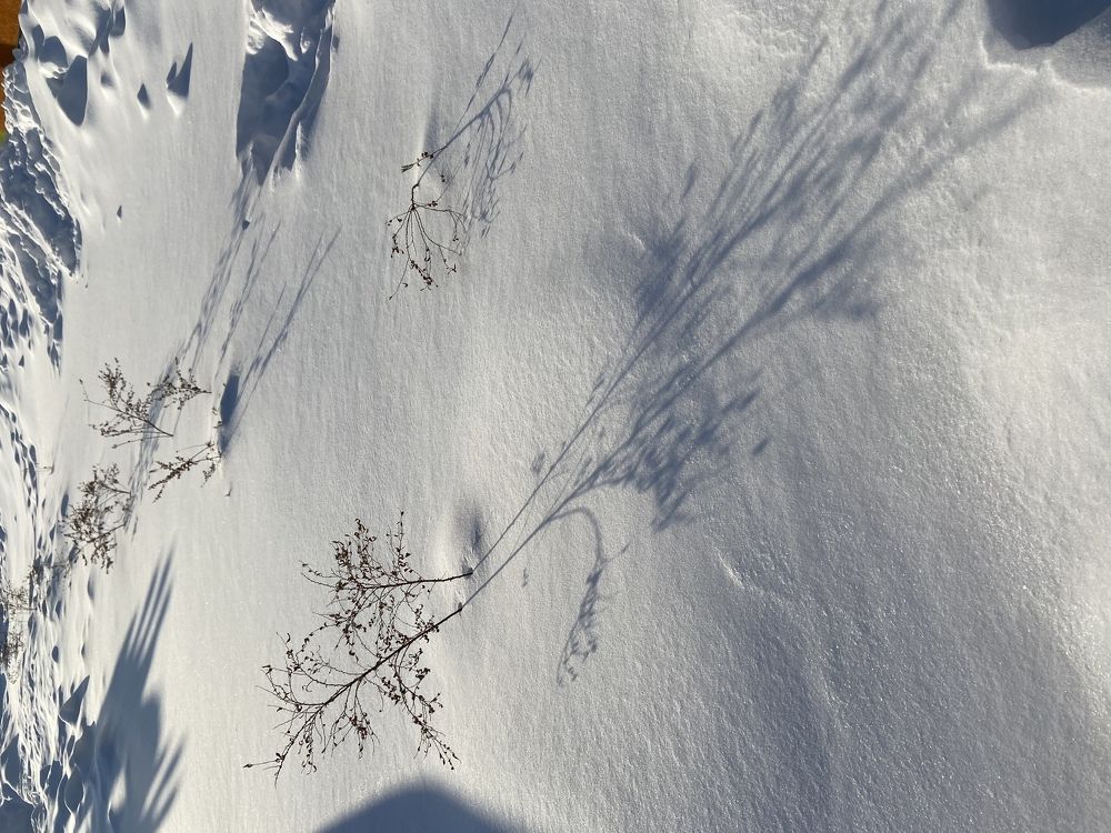 Photograph by Лазарева Анна Игоревна