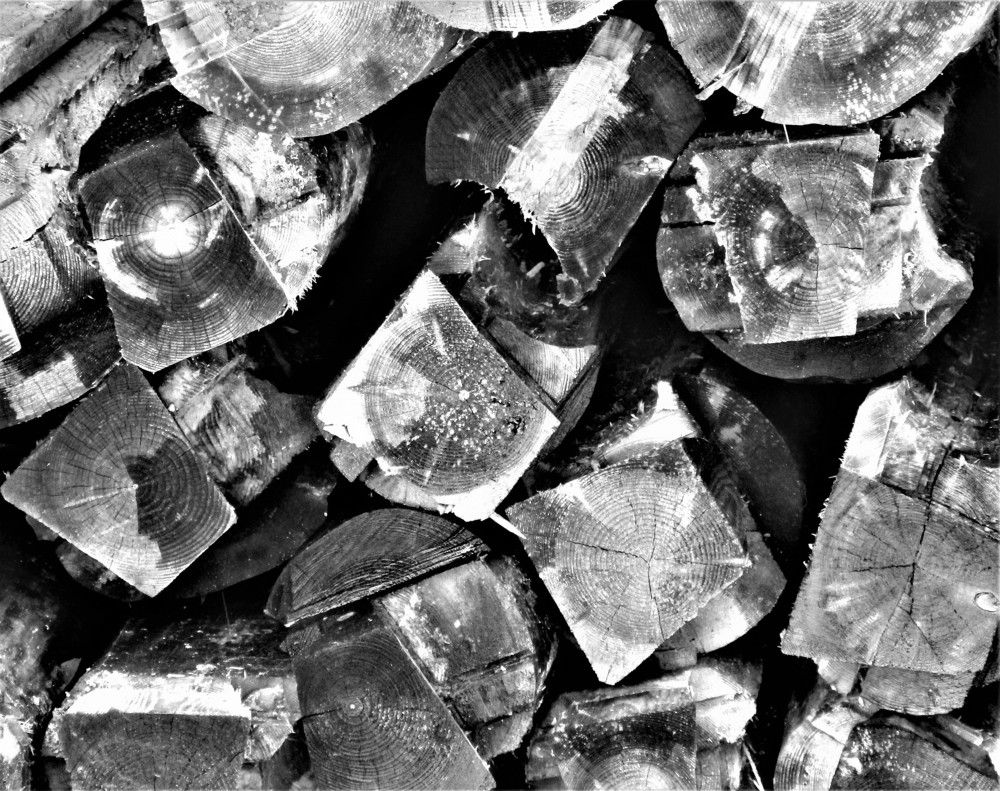 Фотография автора Tiia Vissak