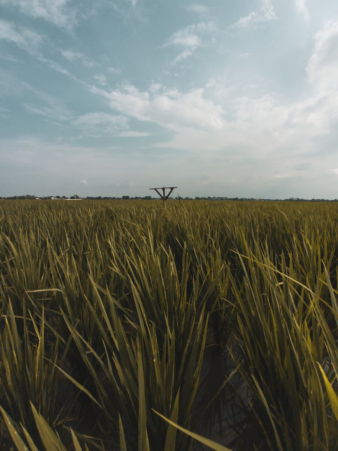 Photo #5961896