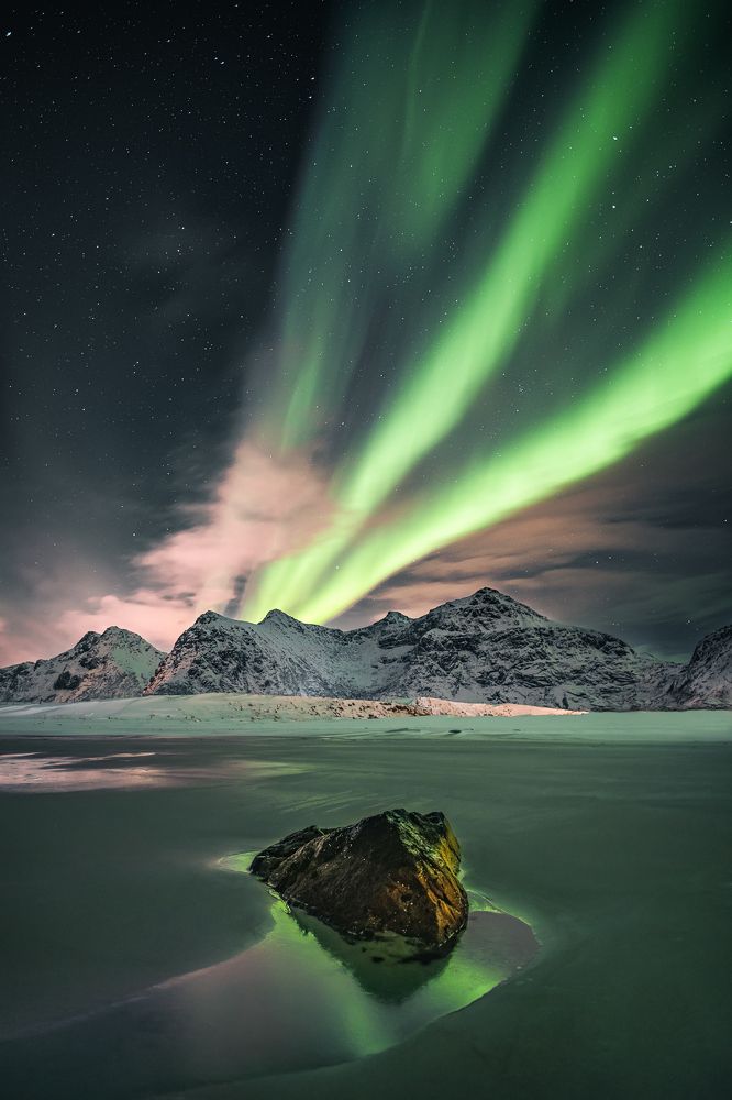 Photograph by Zilvinas Karkauskas