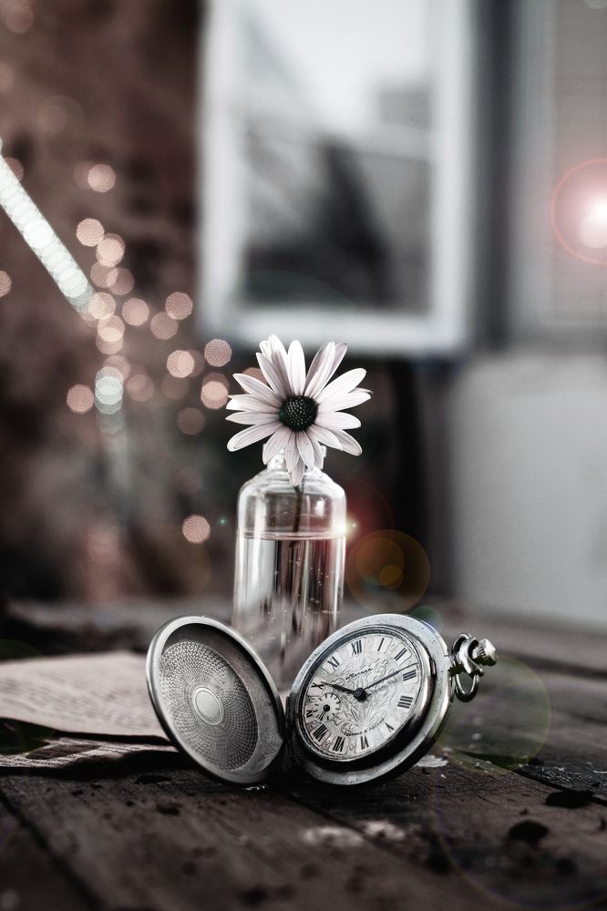 Photograph by boutaiba naoui