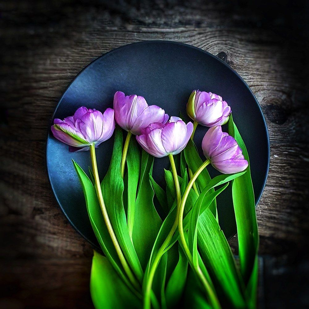 Photograph by Елена Власова