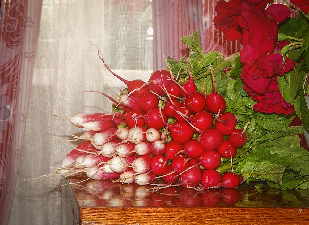 Photograph by Раиса Искакова