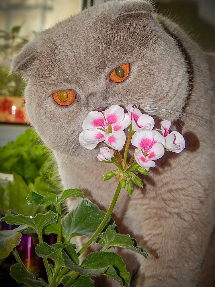 Photograph by Раиса Искакова