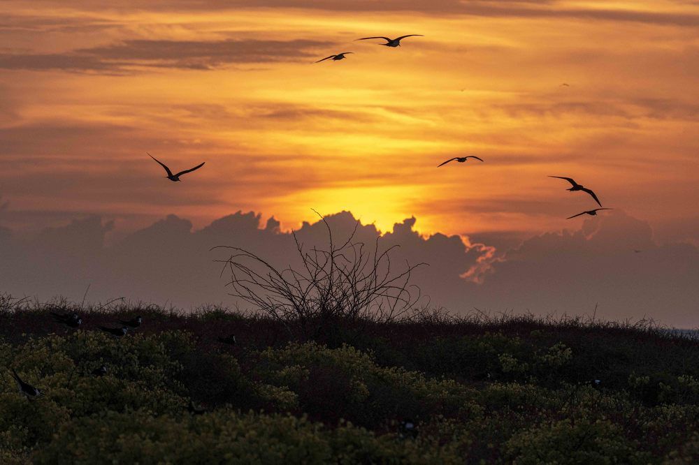 Photograph by Lidia Losada Campaña