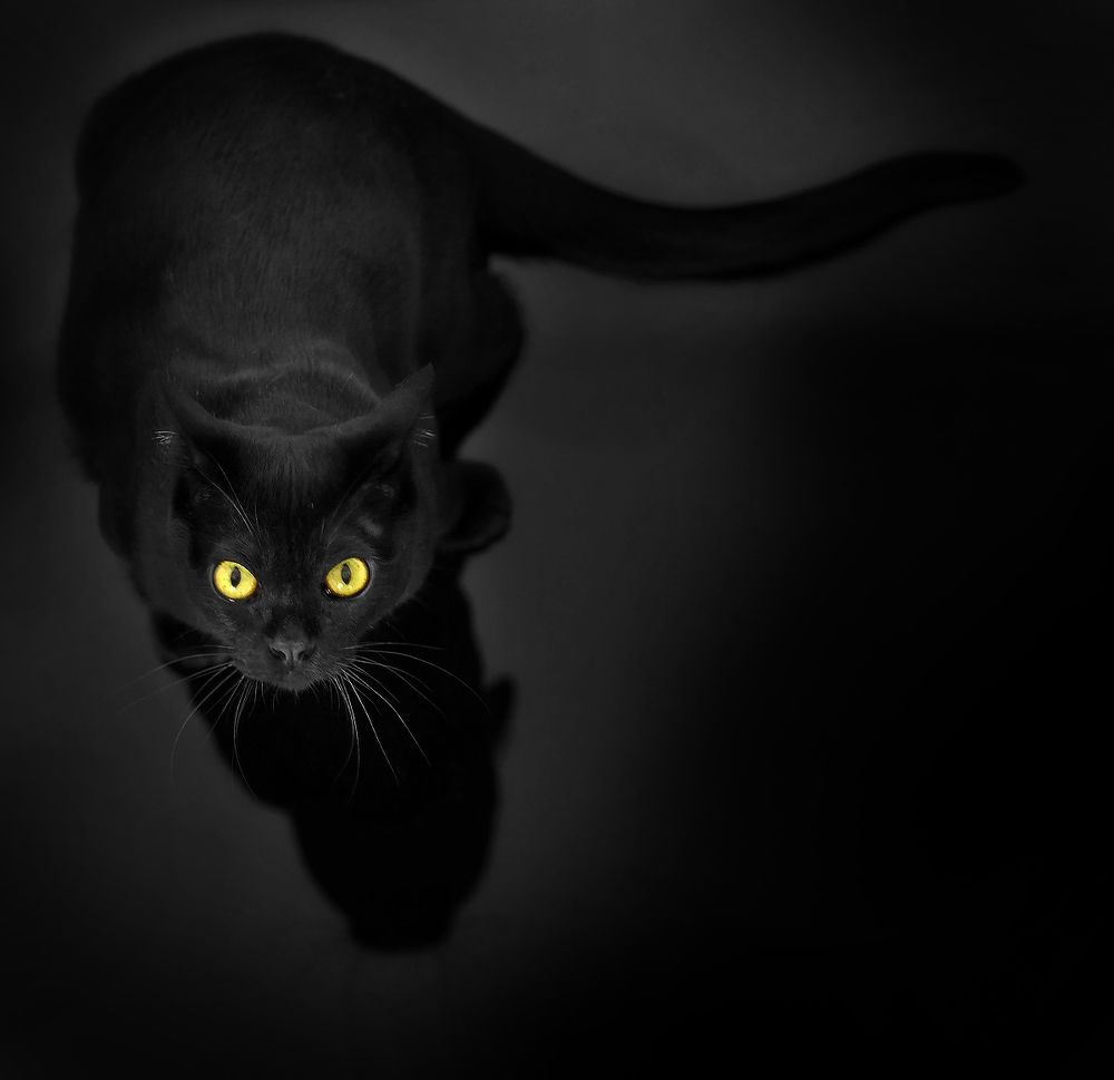 Photograph by Boris Bekelman