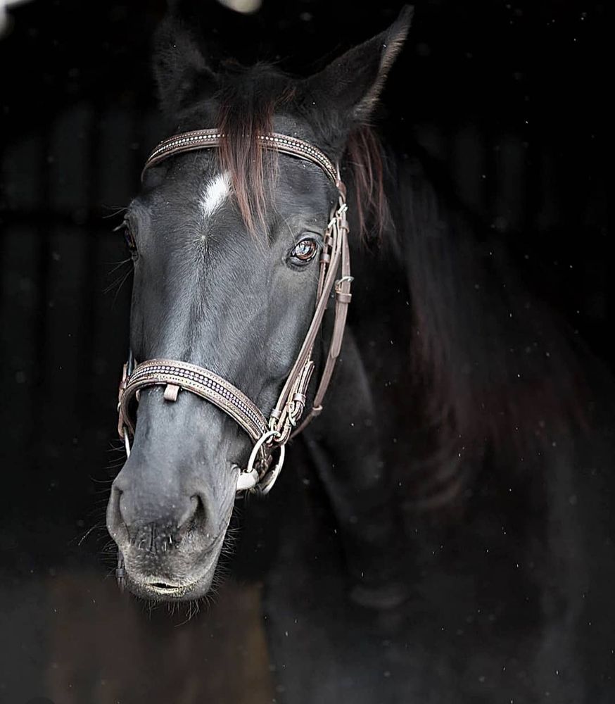 Photograph by Олька Крайнова