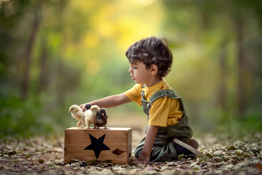 Photograph by Ana Troncoso