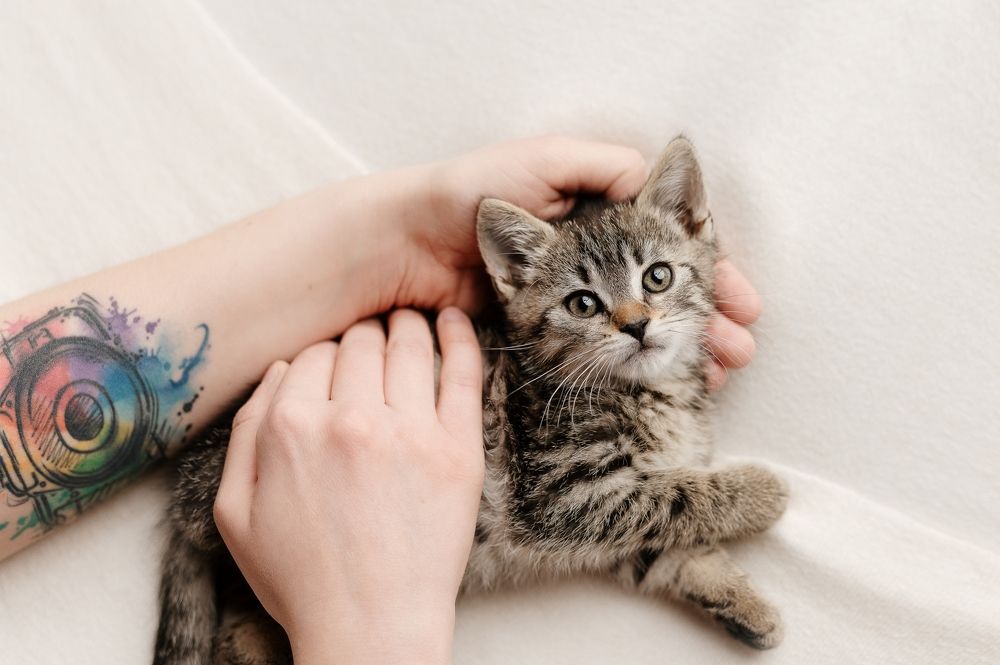 Photograph by Anna Olszewska