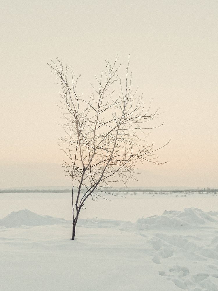 Photograph by Анастасия Хованская