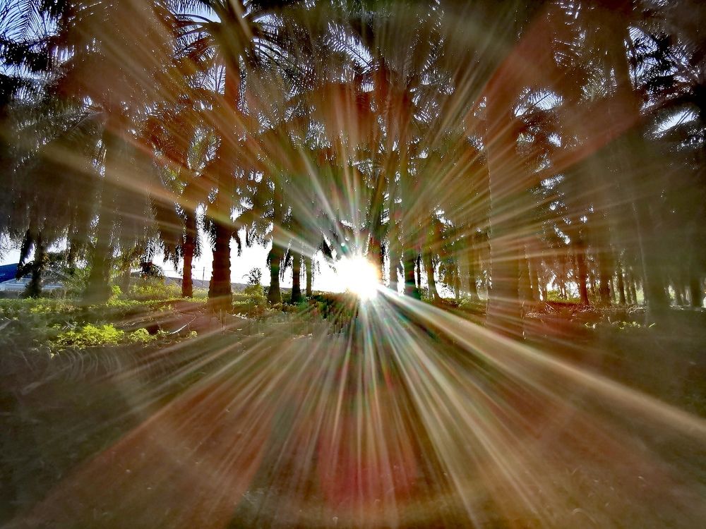 Photograph by Chunhou Poon