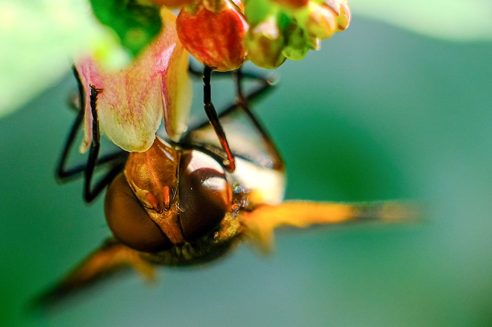 За трапезой