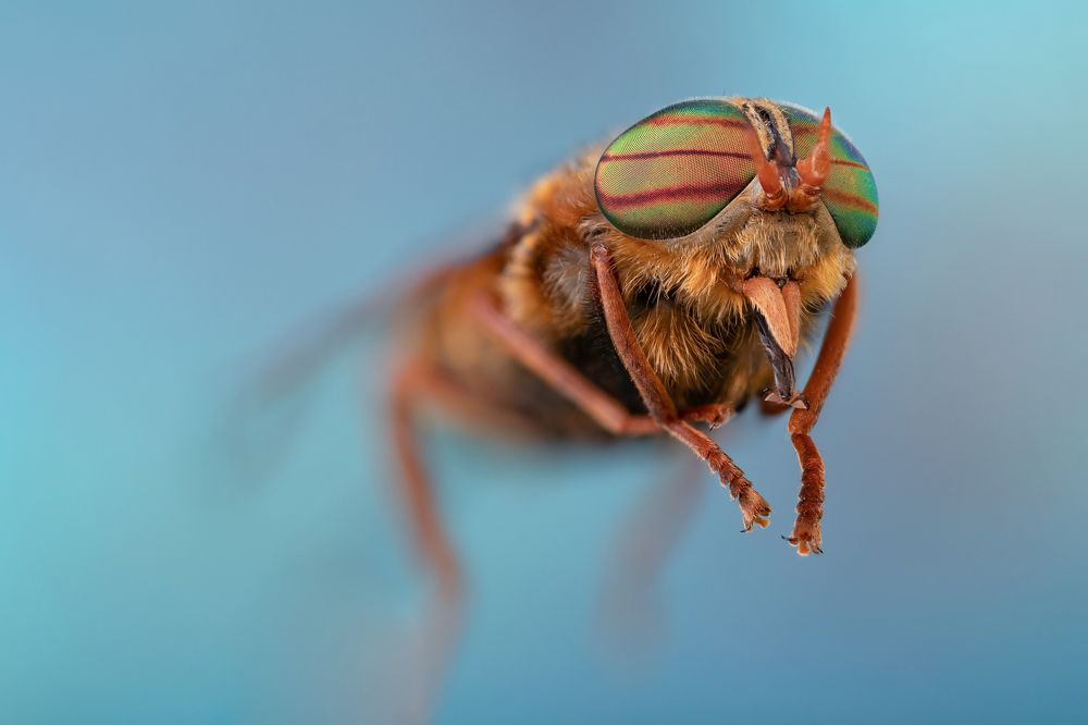 Photograph by Сергей Романченко