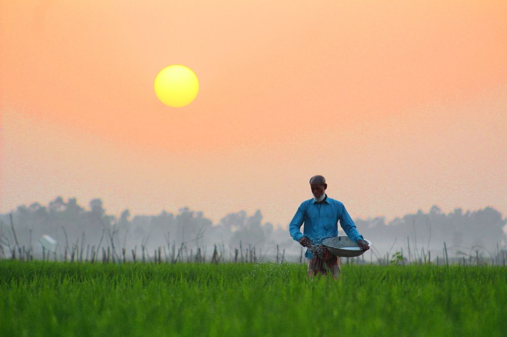 Photograph by Niamul Reza