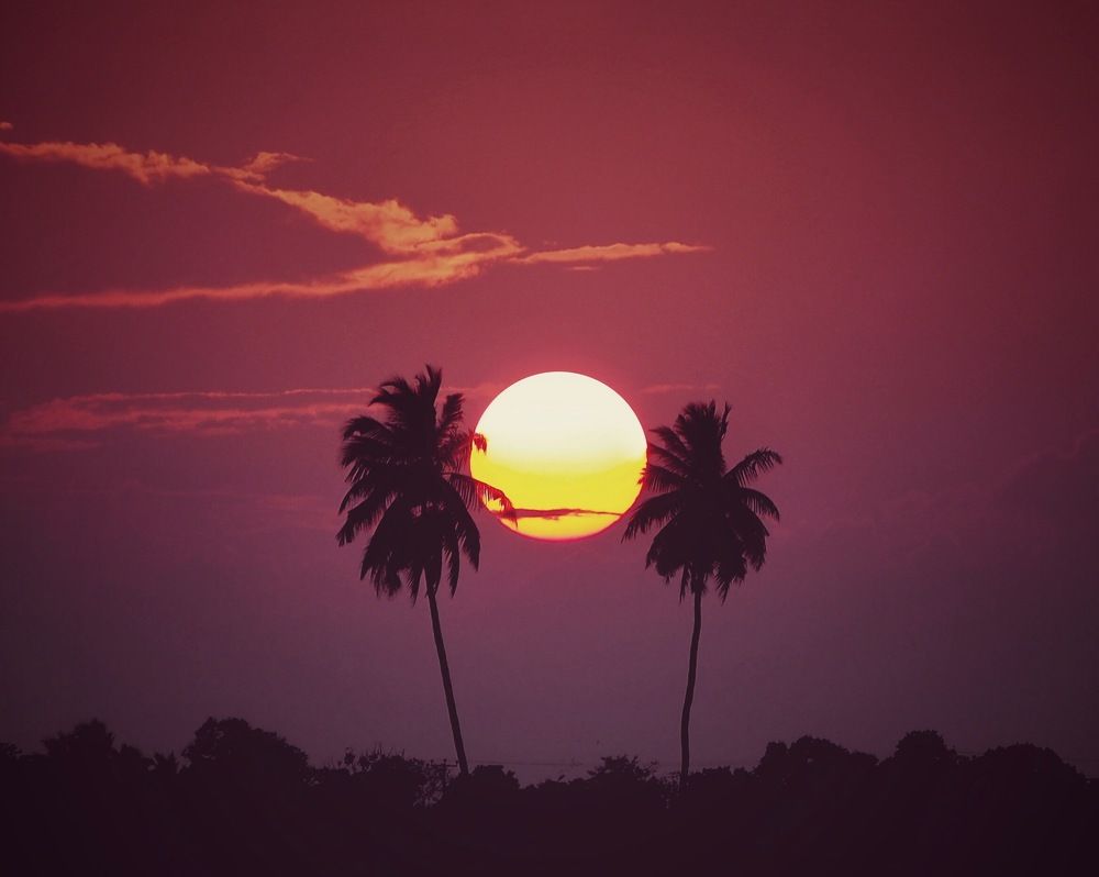 Photograph by Mohamed Aashik Mohamed Caseem