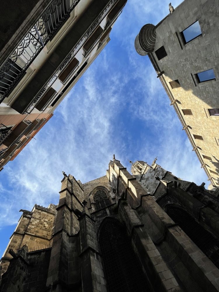 Фотография автора Elena Derebera