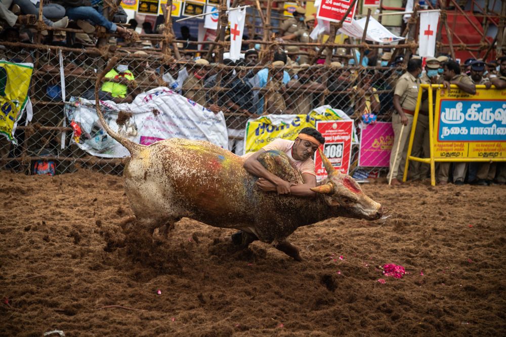 Photograph by Ranjith Kumar