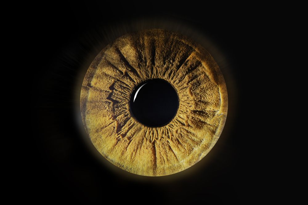 Photograph by Olasz Laszlo