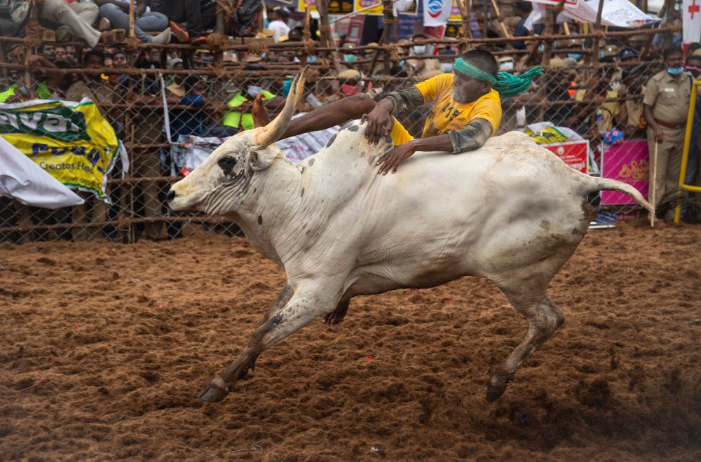 Photograph by Ranjith Kumar