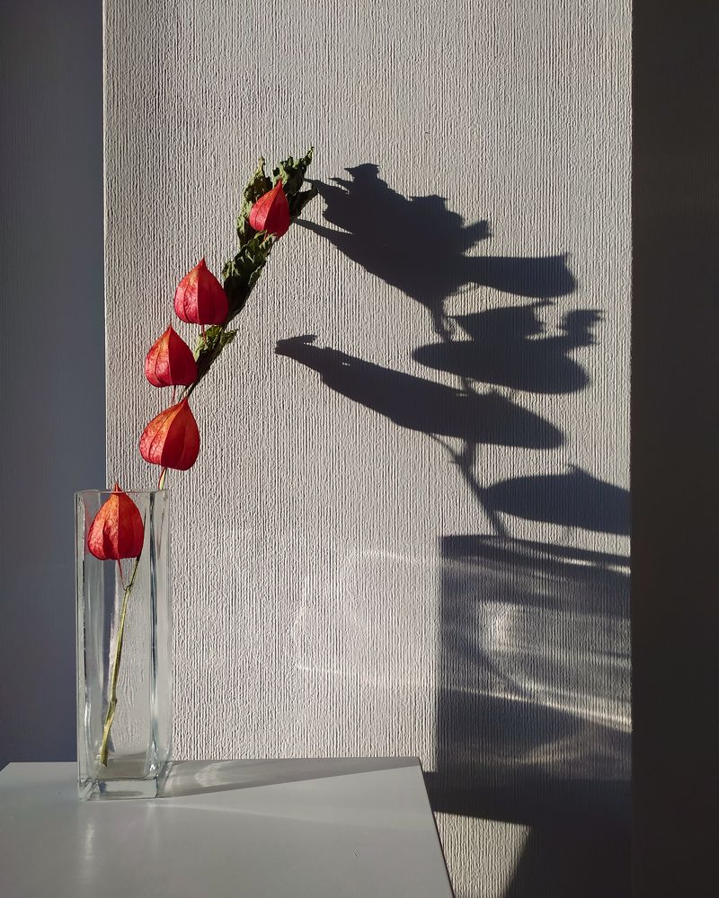 Photograph by Татьяна Кравченко