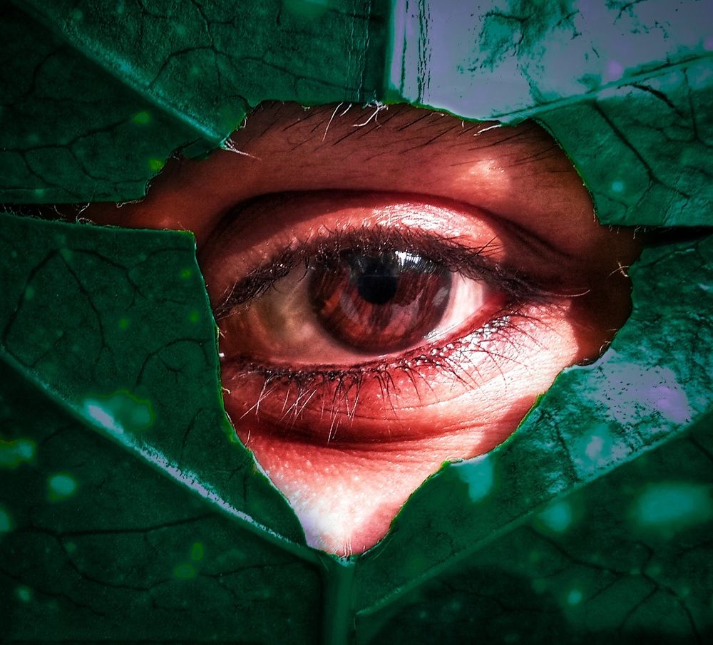 Photograph by Sheikh Md. Ebrahim