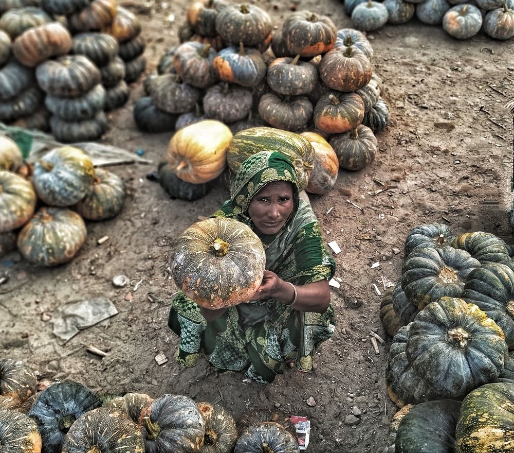 The gaze of Pumpkin seller.