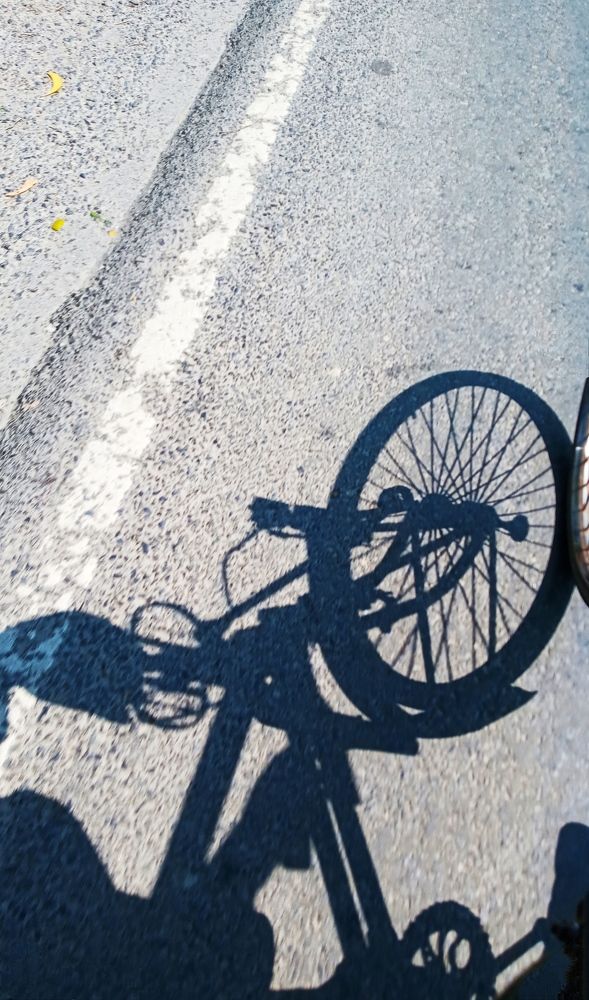 Photograph by Sheikh Md. Ebrahim