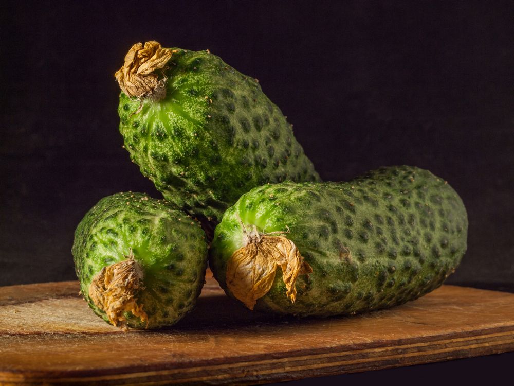 Photograph by Эрик Турман