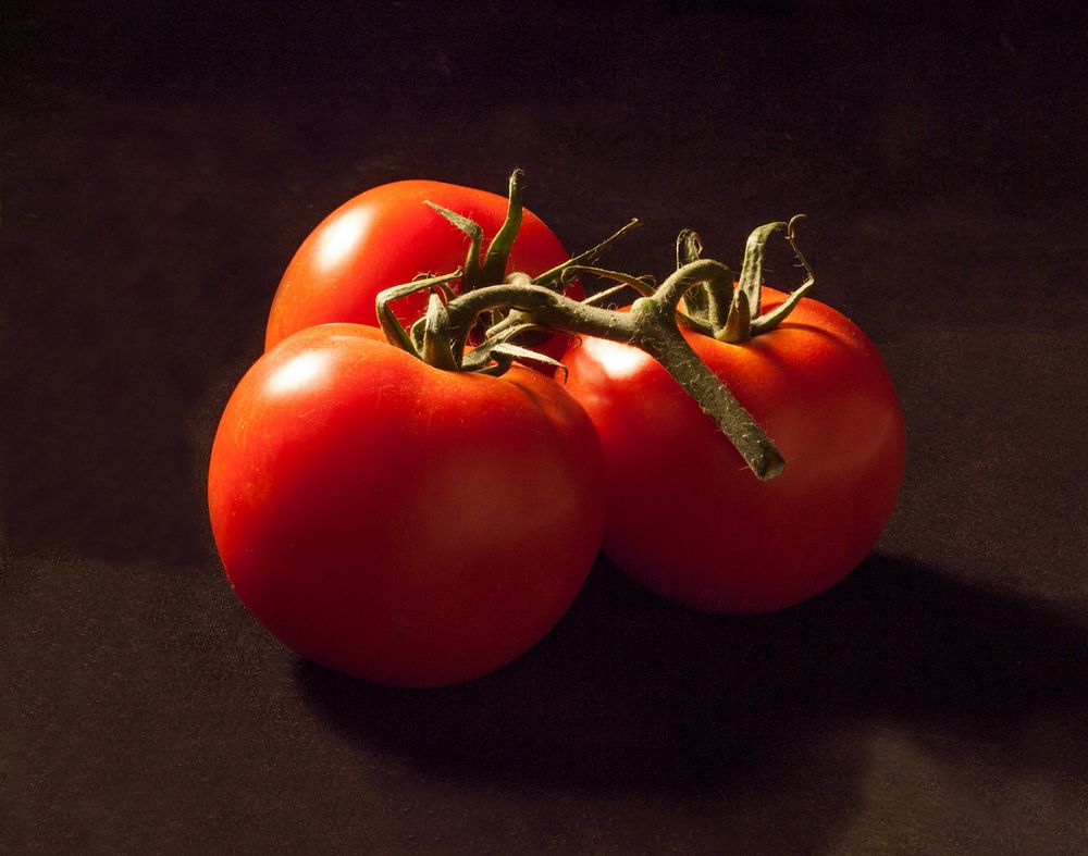 Photograph by Эрик Турман