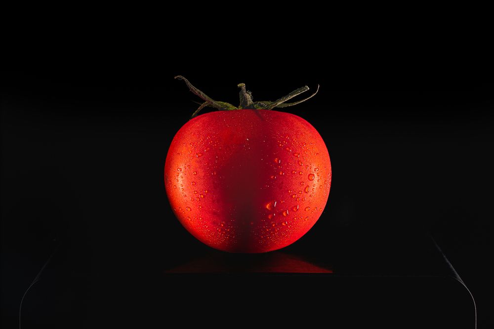 Photograph by Olasz Laszlo