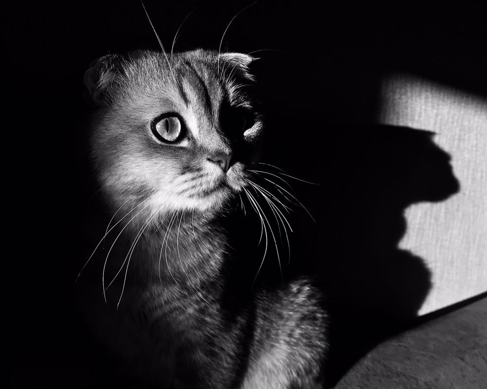 Photograph by Мария Погорелова