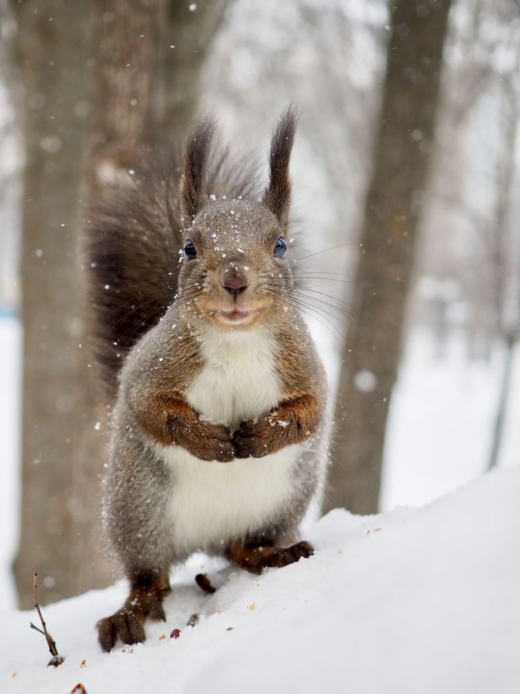 Photograph by Юлия Поршнева