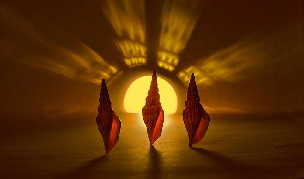 Photograph by Эрик Турман