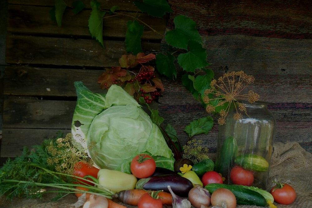 Фотография автора Павел Попов