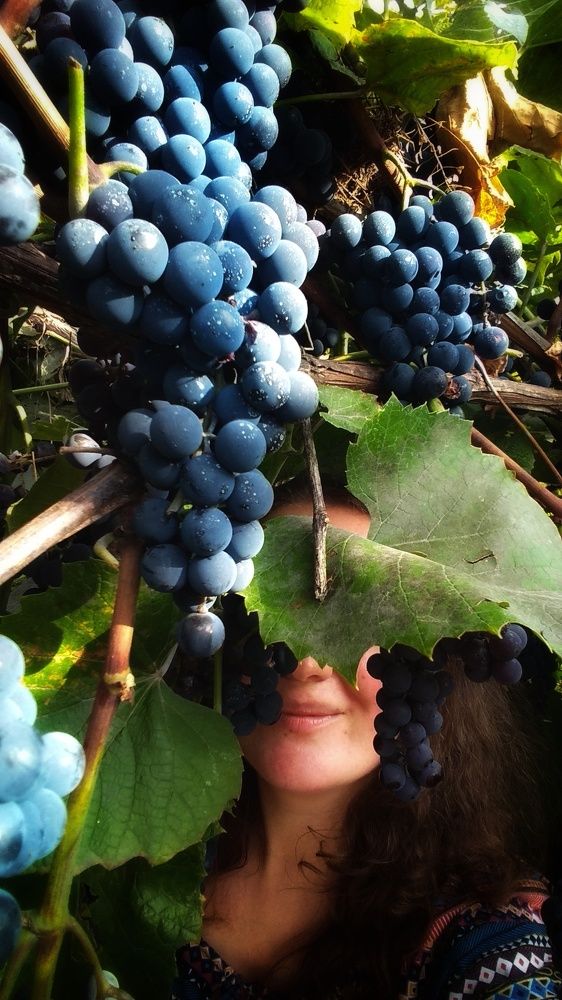 Photograph by Алеся Цеван