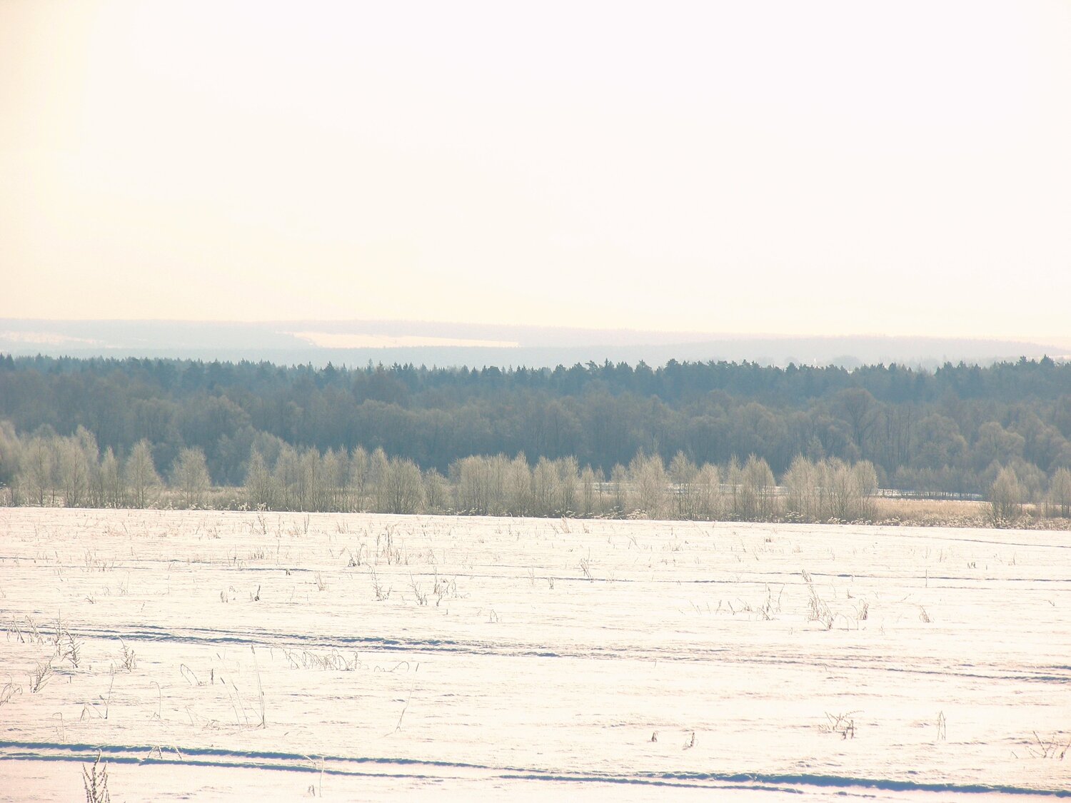 Photo #5962781