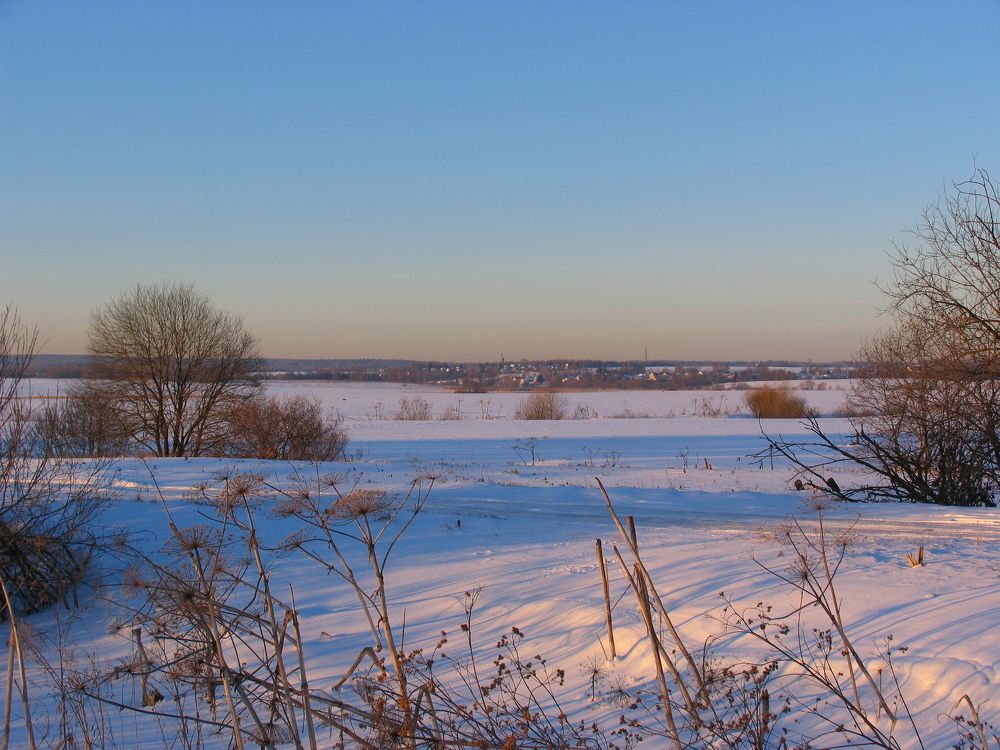 Photo #5962790