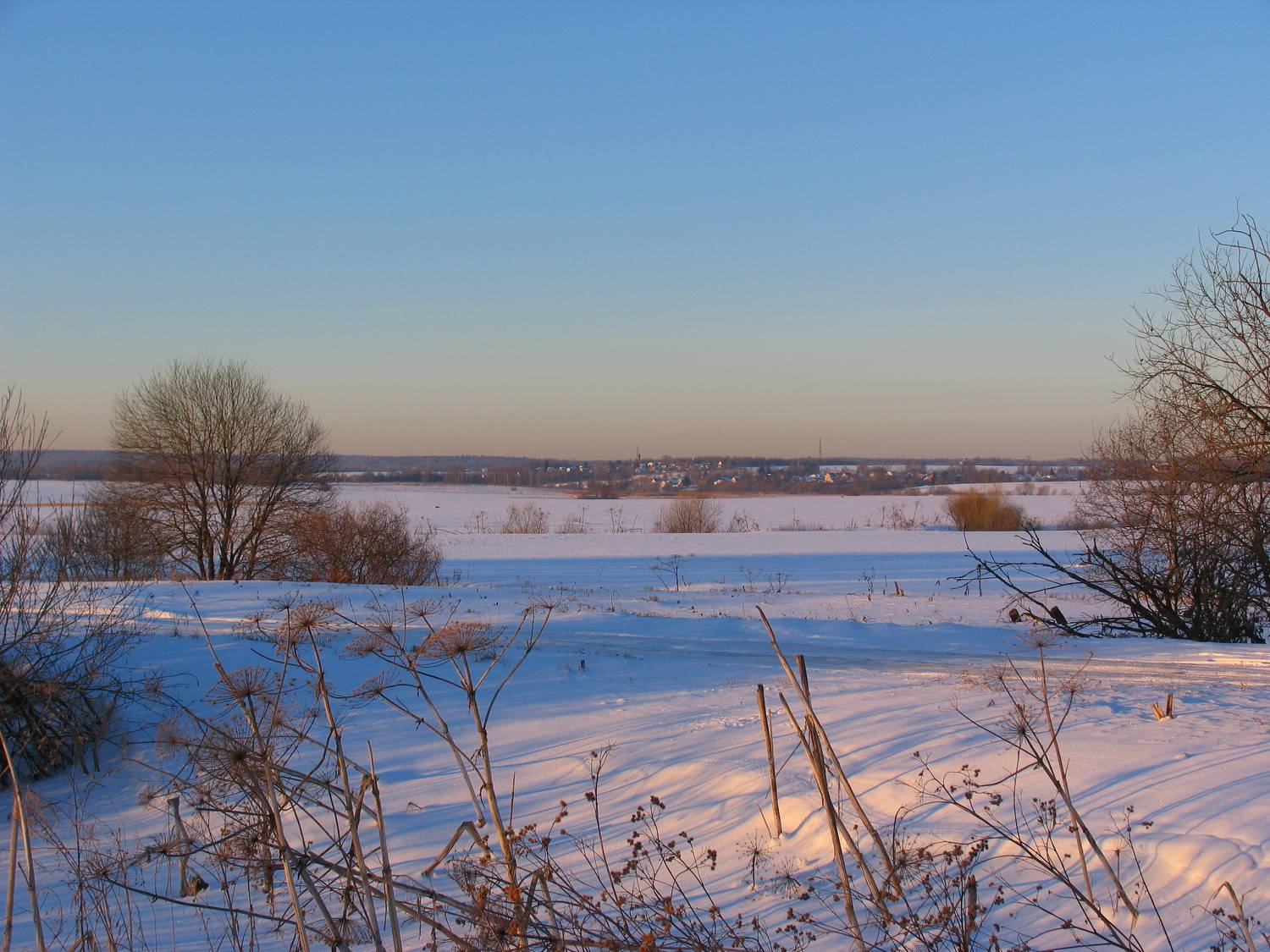Photo #5962790
